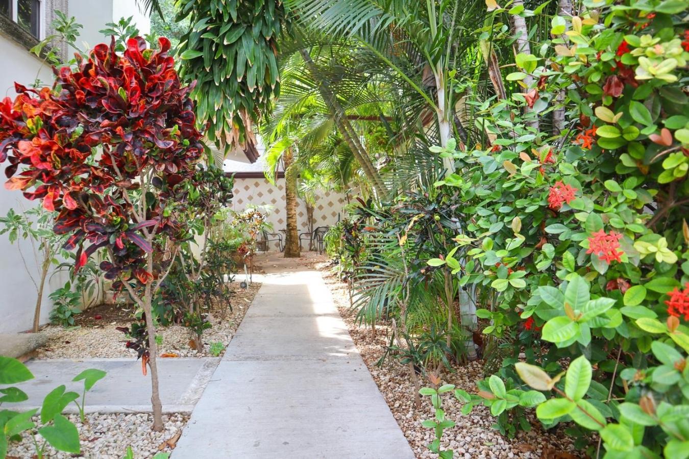 Apartamento Close To Beach, Quinta,ferry To Cozumel And Xcaret *